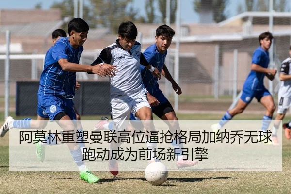 img_1784037572658_557_1_946.jpg